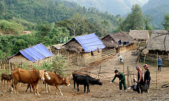 Hỗ trợ người dân vùng biên giới phát triển kinh tế (04/11/2017)